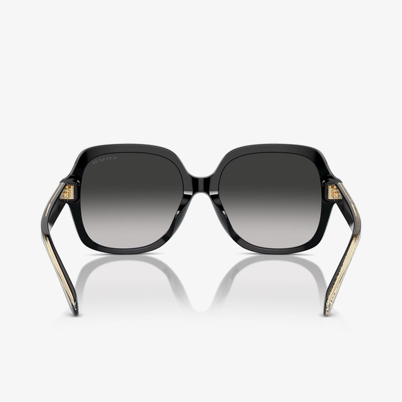 Coach Black Sunglasses for Women NWT full inclusion - Picture 4 of 5